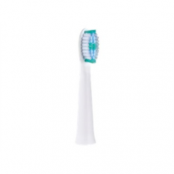 Panasonic | Toothbrush replacement | WEW0974W503 | Heads | For adults | Number of brush heads included 2 | Number of teeth brushing modes Does not apply | White